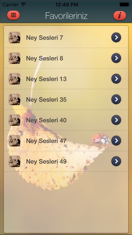 Ney Zil Sesleri screenshot-3