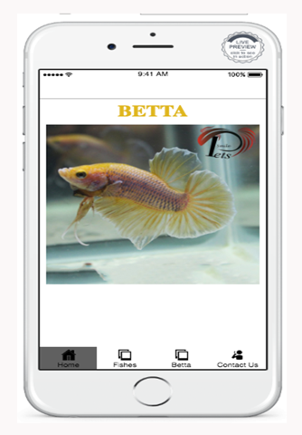 Fish Betta - náhled