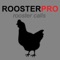 BLUETOOTH COMPATIBLE real rooster calls app provides you rooster and chicken calls for at your fingertips