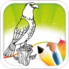 Bird Drawing Book Free