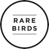 Rare Birds Con 2016