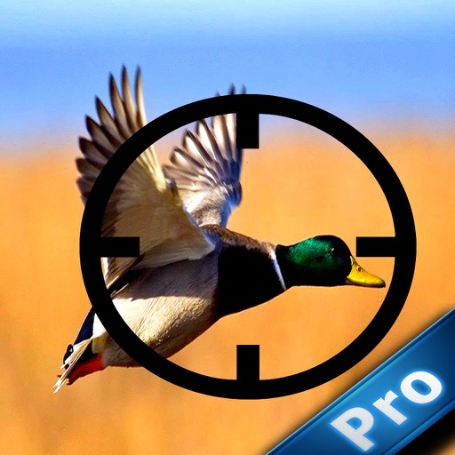 Angry Duck Hunter Shooting Season Pro iOS App