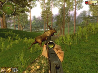 Bear Hunter : The sniper or shotgun elite of 2017, game for IOS