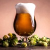 HomeBrew Beer Magazine - Brew Your Own Beer @ Home - iPadアプリ