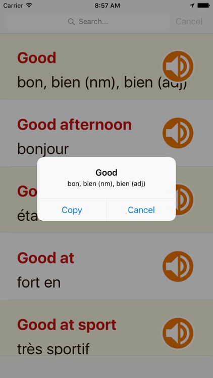 English French Dictionary Offline For Ipad