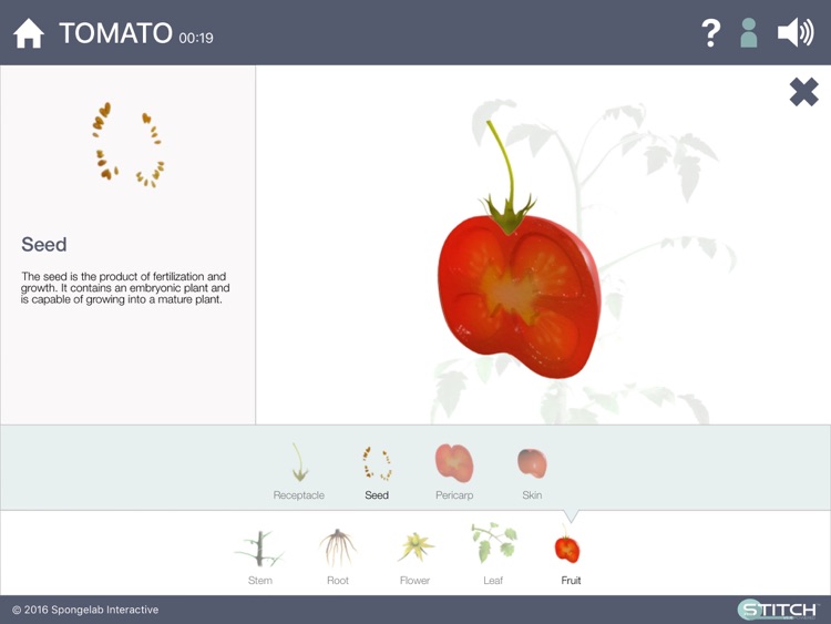 Build a Body: Biology Systems screenshot-4
