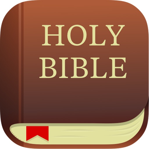HOLY Bible AUDIO. icon