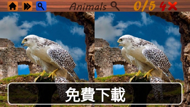 現貨差異動物(圖2)-速報App