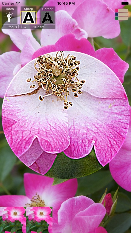 MacroPhoto