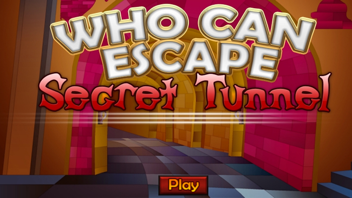 Who Can Escape Secret Tunnel