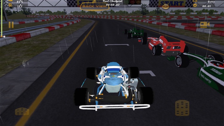 Kart VS Formula Sports Car Race