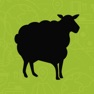 Get Blacksheep-Van for iOS, iPhone, iPad Aso Report