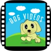 Dog Videos