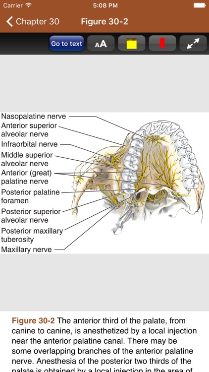 Roberts and Hedges' Clinical Procedures, 6/E screenshot-3