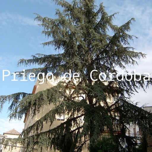 Priego de Cordoba Offline Map by hiMaps