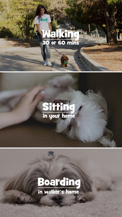 Wag! - Instant Dog Walkers
