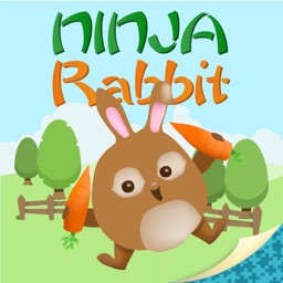 Ninja Rabbit - Awesome Skill Game