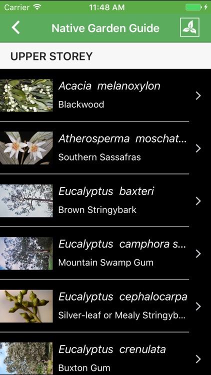 Flora Explorer screenshot-3