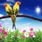 Parrots Guide is a great collection with the most beautiful photos and with interesting detailed info