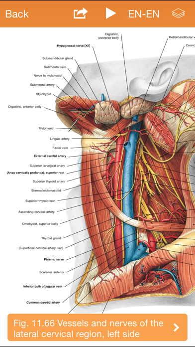 Sobotta Anatomy Atlas Screenshot 4