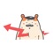 Joke Bear Stickers - Kawaii Raccoon Emoji Set
