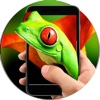 Frog On Hand In Phone Simulator