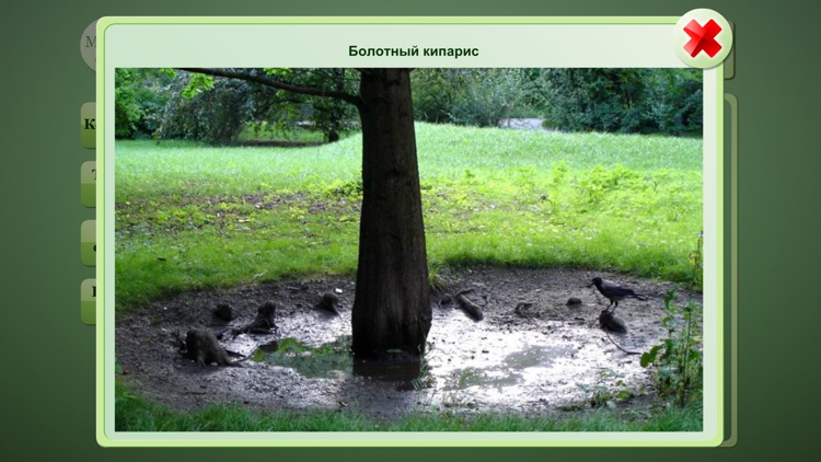 Biology Plant handbook screenshot-4