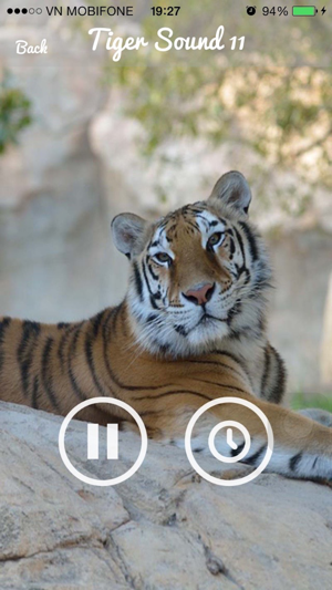 Tiger Sounds - Tiger Sounds for Kids(圖3)-速報App