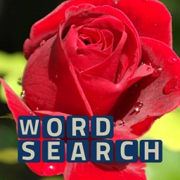 Wordsearch Revealer Bouquet