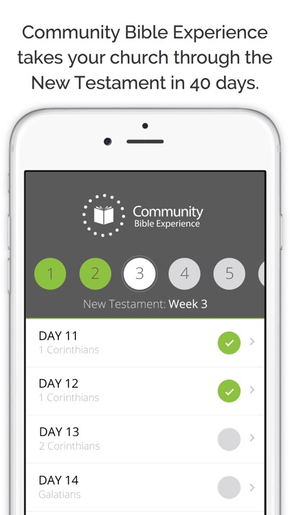 Community Bible Experience - 40-Day Bible Journey