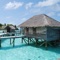 House Plans Beach is your guide with beautiful photos and detailed info