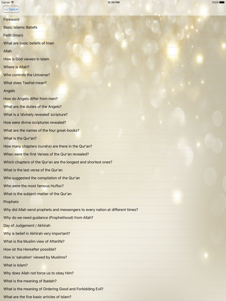 【图】What is The Islam?(截图3)