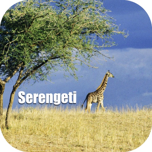 Serengeti - Africa Tourist Travel Guide icon