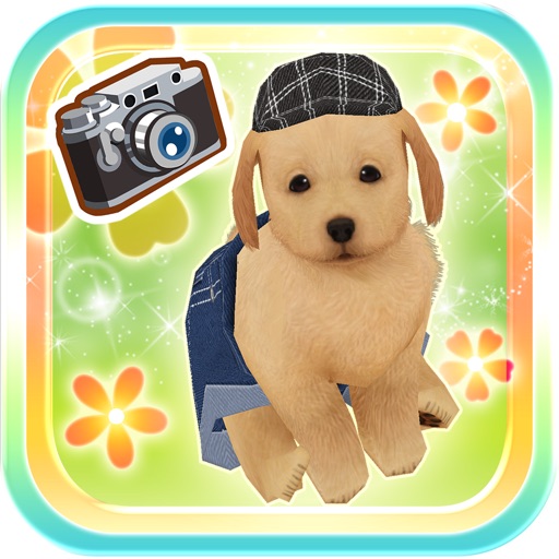 My Dog My Room 2 iOS App