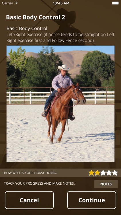 Warwick Schiller's Horse Training Checklist