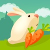 Rabbit Vegetable