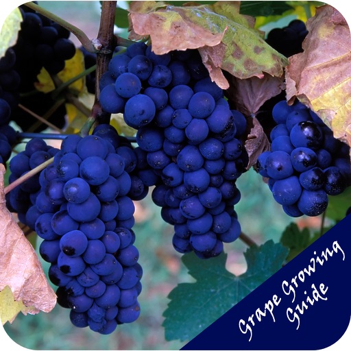 Grape Growing Guide icon