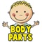 Learn Human Body Parts For Babies