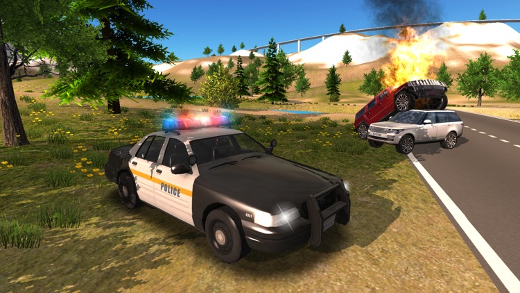 Police Car driving Offroad 4x4