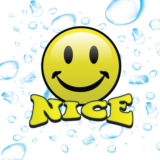 Mr. Nice Car Mobile Detailing