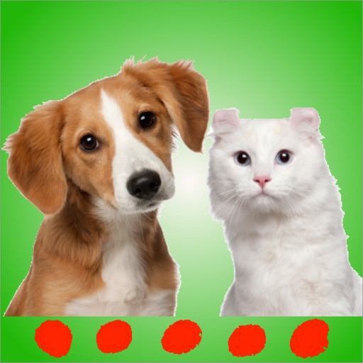 Cat & dog sounds: Perfect app for pets and puppies Icon