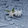 Rain Wallpapers HD- Backgrounds and Art Pictures