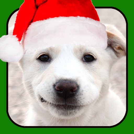A Talking Christmas Puppy for iPhone icon