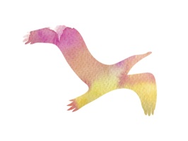 Water Color Bird Stickers