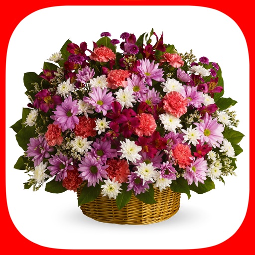 Flower Bouquet Stickers! Bouquets with Carnations! icon