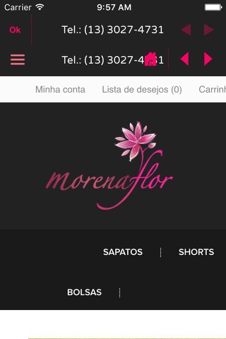 Morena Flor screenshot 3