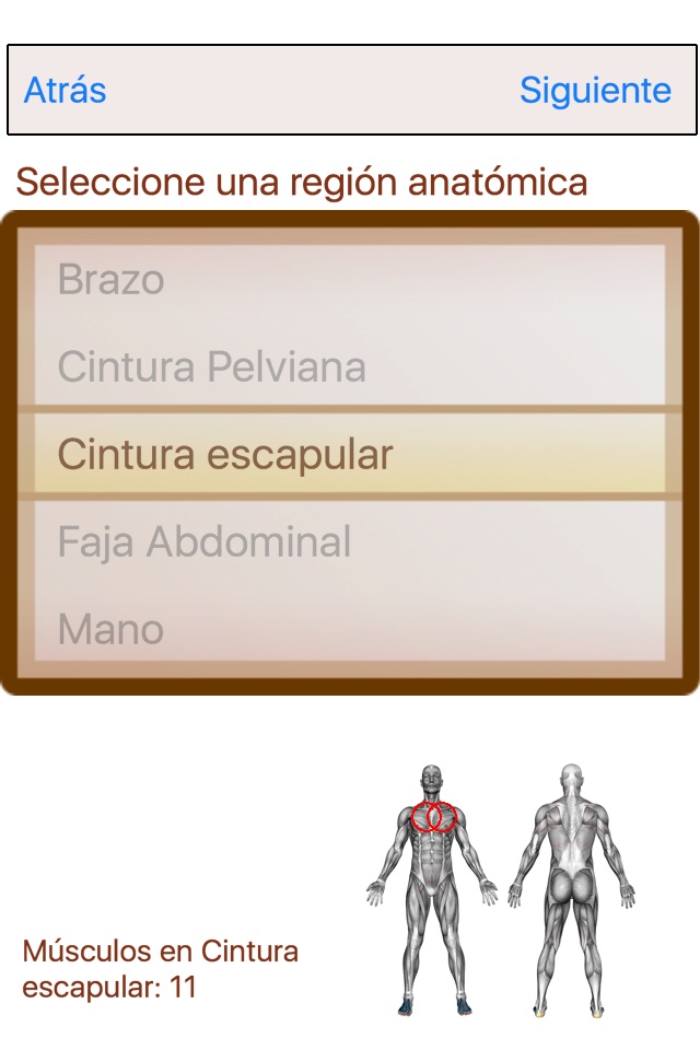 Atlas Músculo-esquelético screenshot 3
