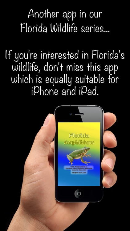 Florida Amphibians - Guide to Common Species