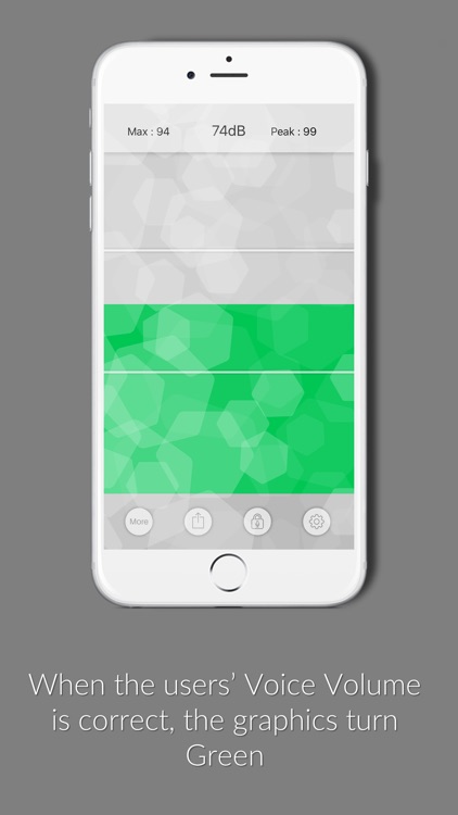 Voice Volume Meter Pro