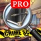 The Secret Diary Mystery Pro : Hidden Object find hide clue solve mystery scene